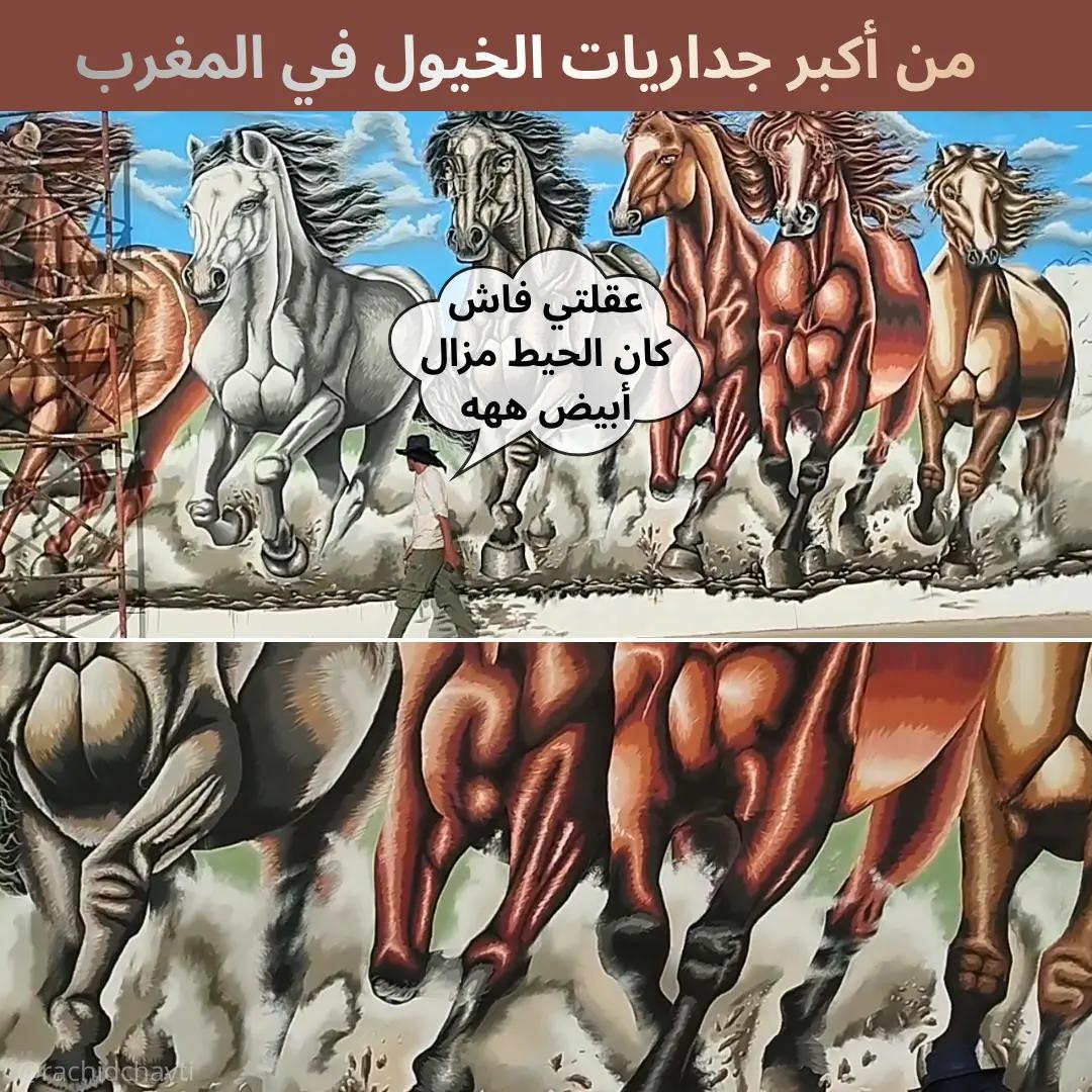 @rachid chayti