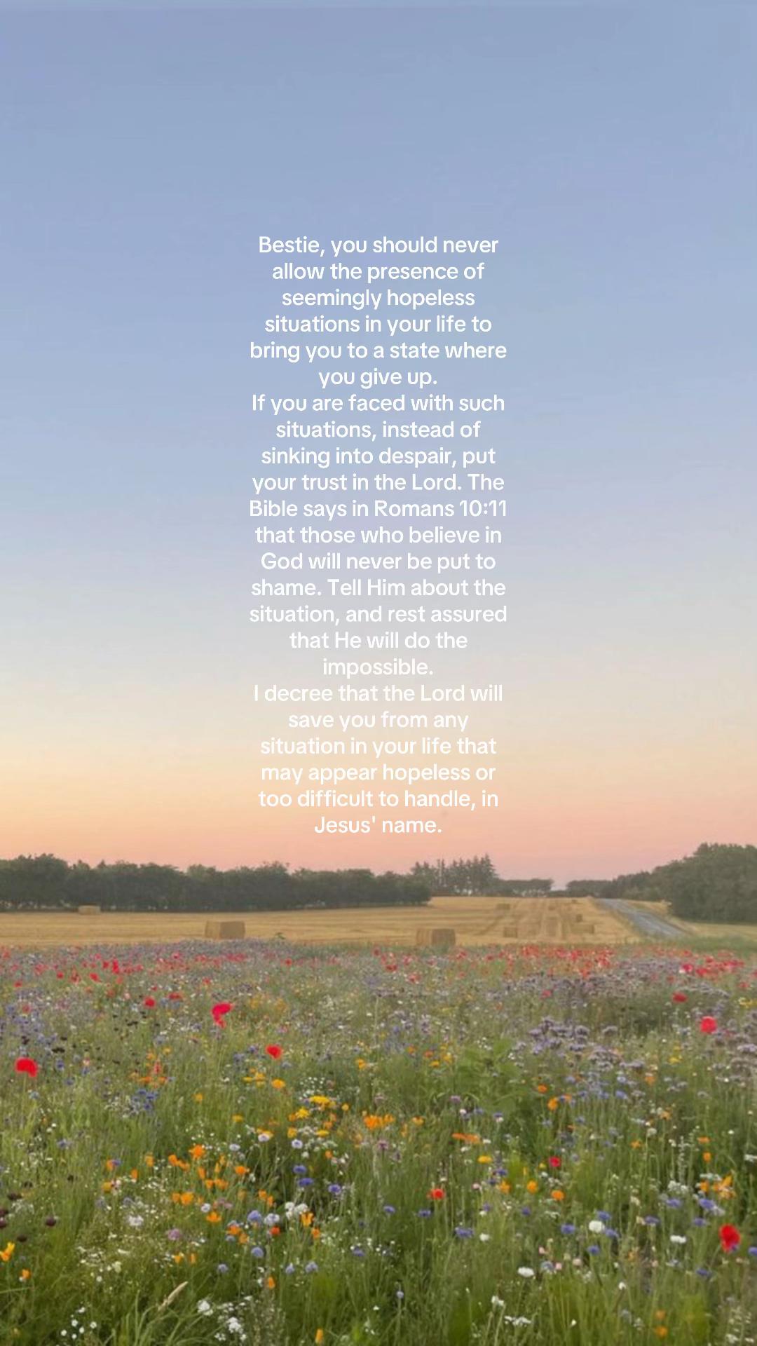 @🦋