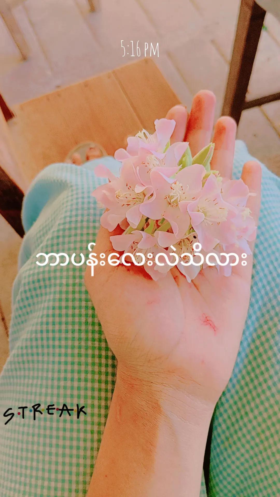 @Cherry 9984