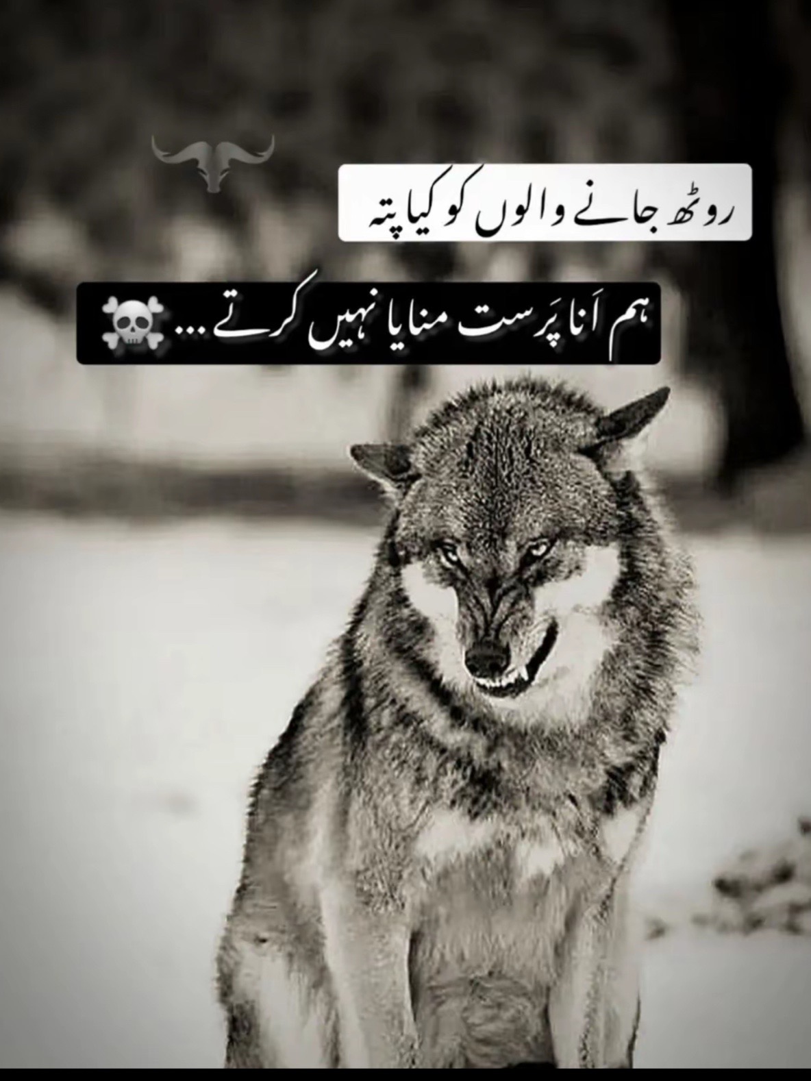 @مانی۔🚩