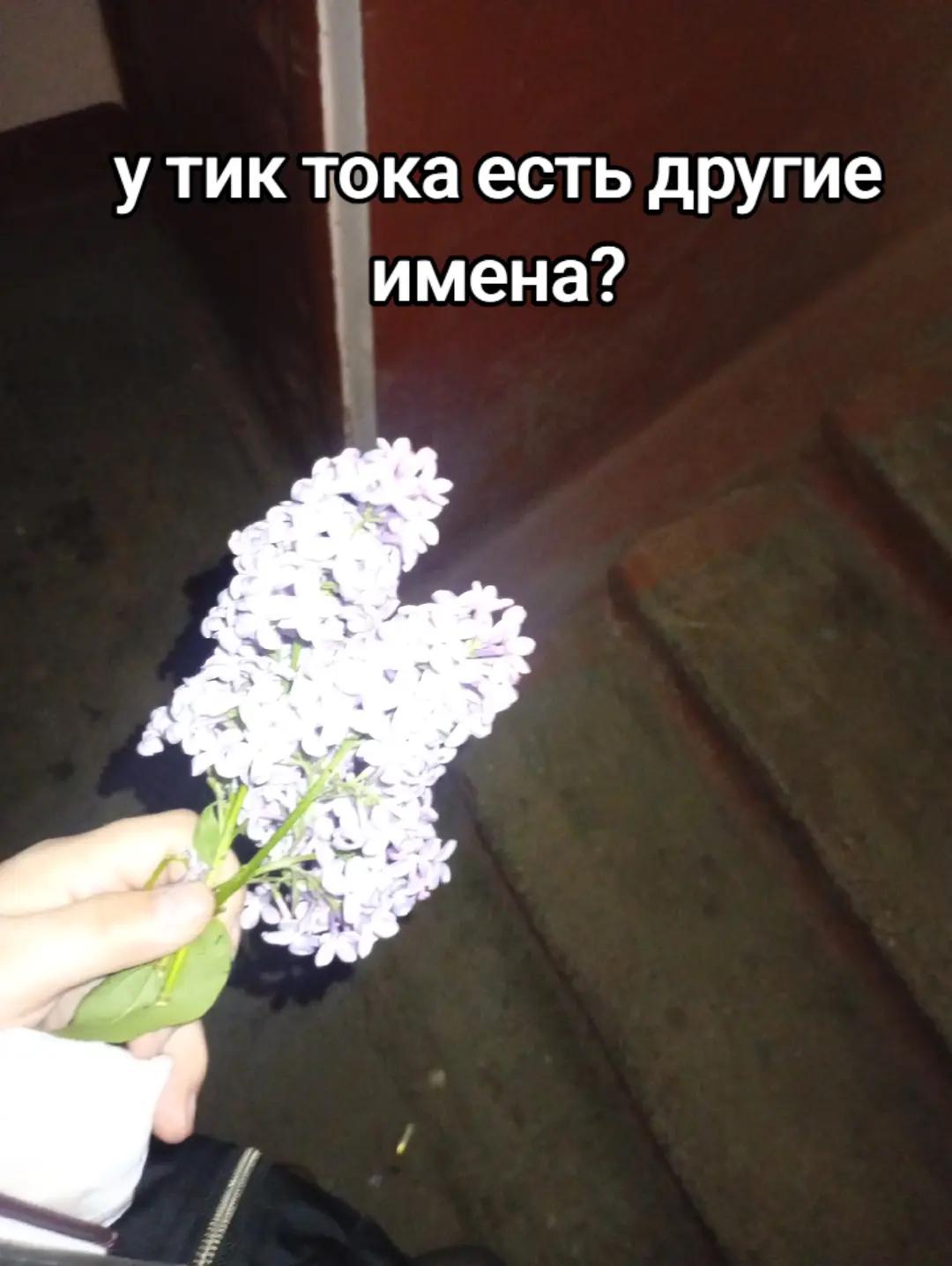 @Кристина полторашка