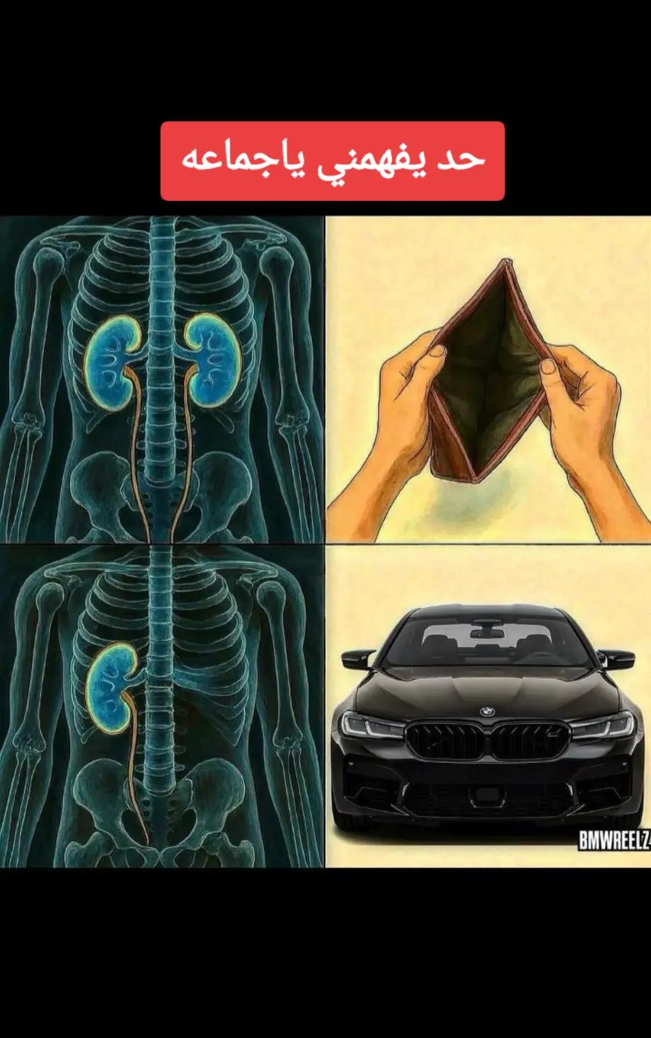 @سجاد2