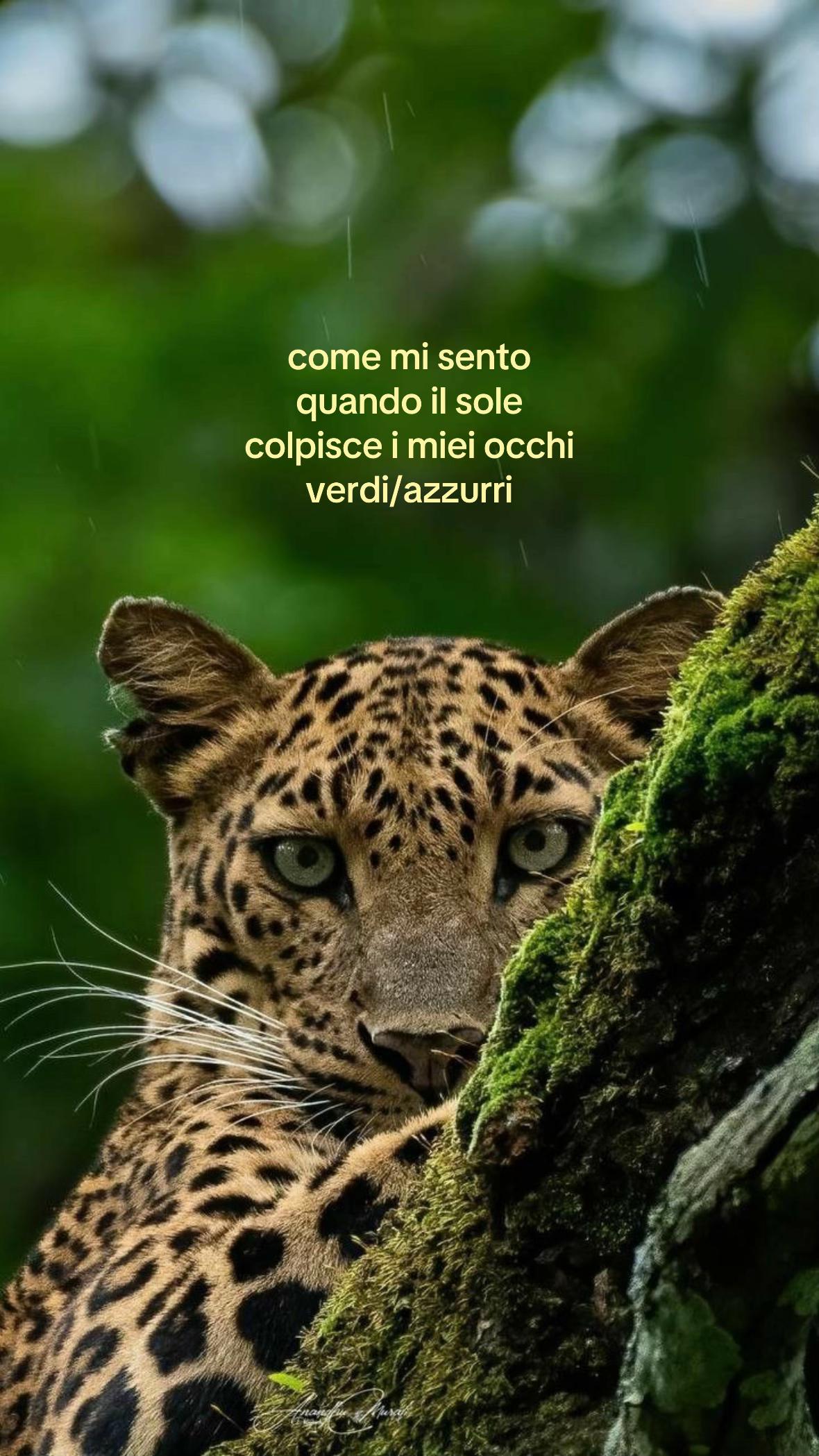 @𝓖𝓲𝓾𝓵𝔂🍒🐆🫧