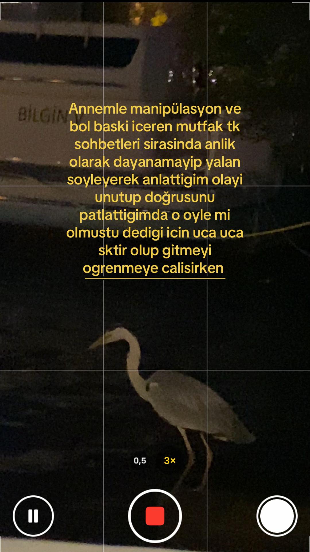 @Nisa