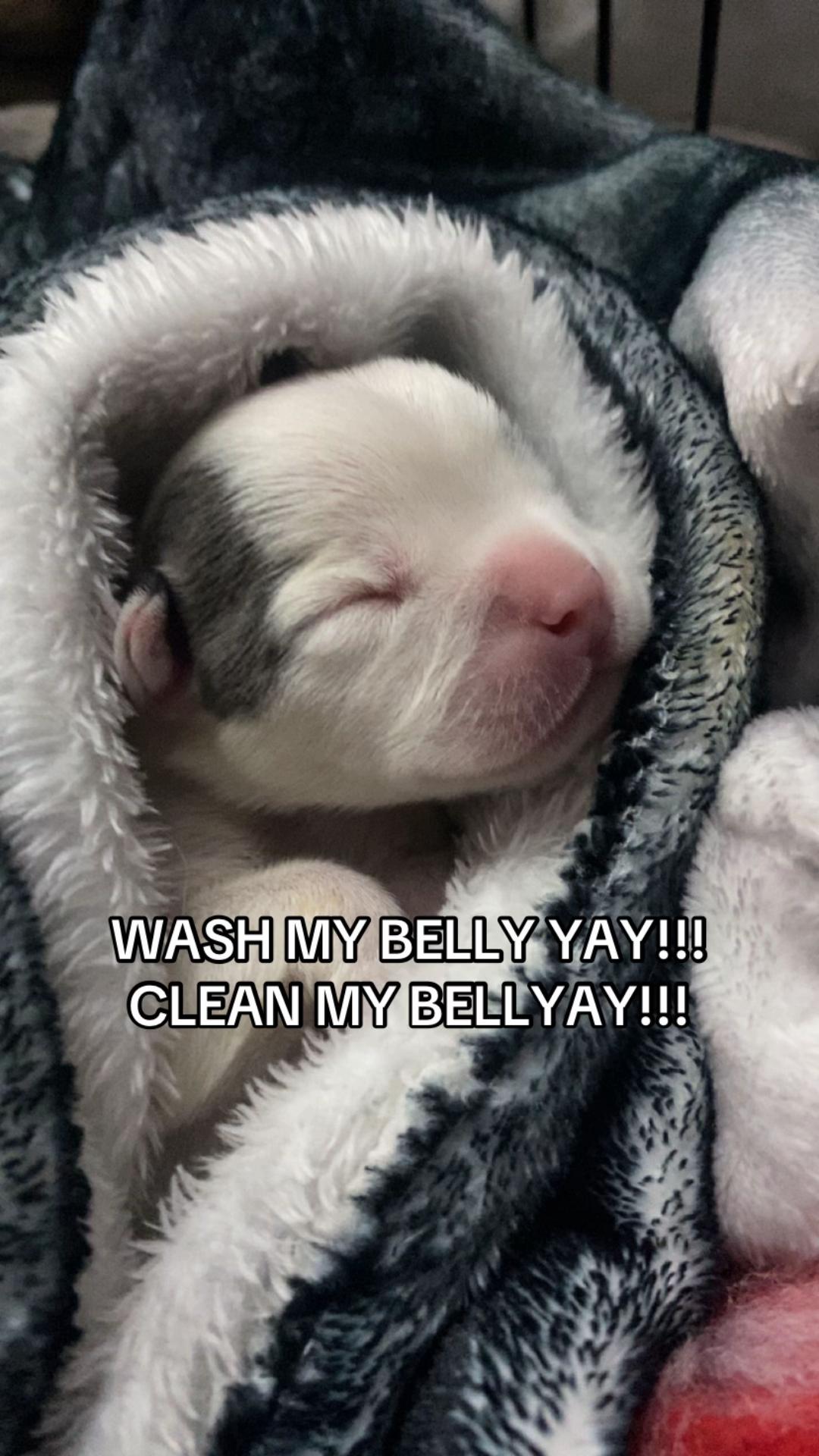 @Jessie 🐶