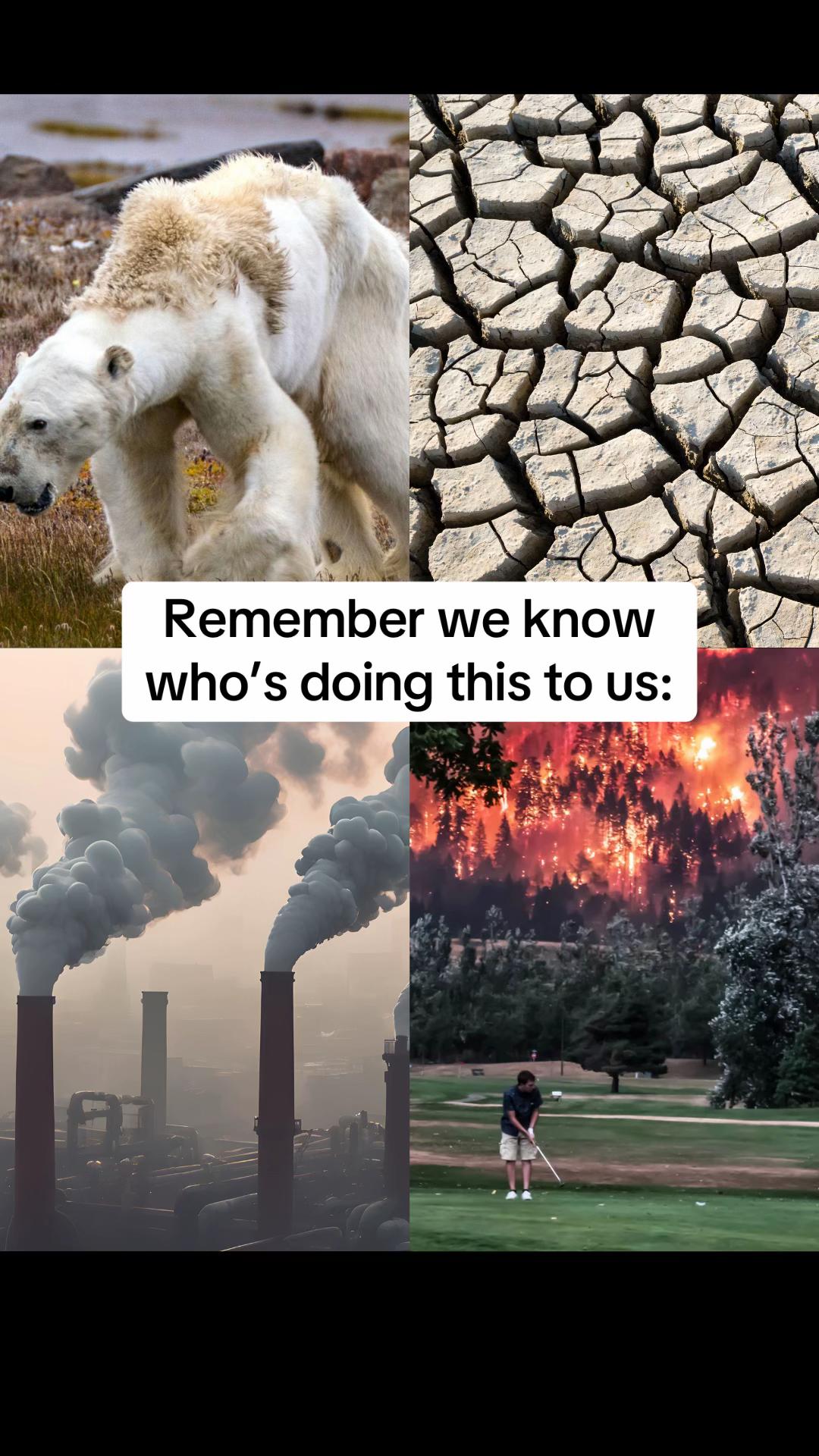 @European Environmental Bureau