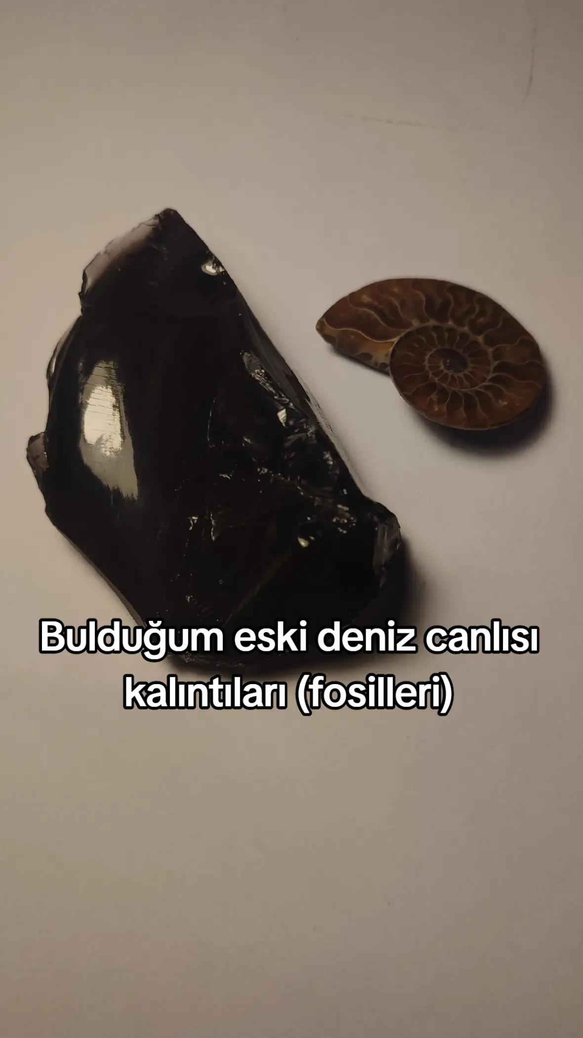 @Türk Bilimci 🔭🔬🌱