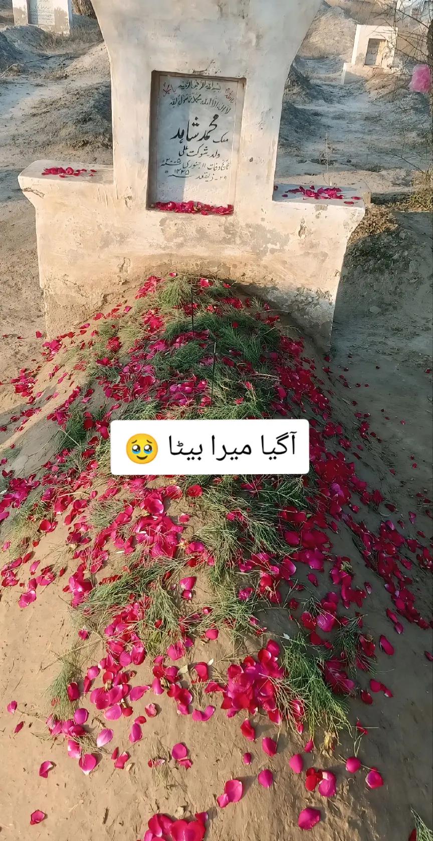 @✈️ 𝐌𝐀𝐋𝐈𝐊᭄𝐀𝐇𝐒𝐀𝐍 🇸🇦
