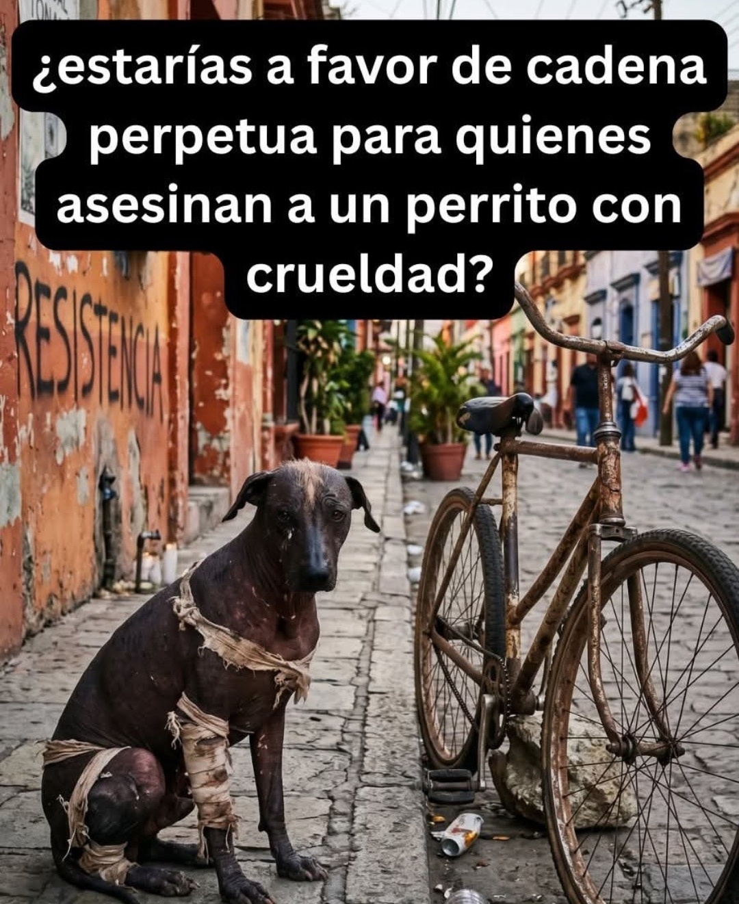 @❤️💛💜Nelo 2.0 🐈&zwj;⬛🐈🙀