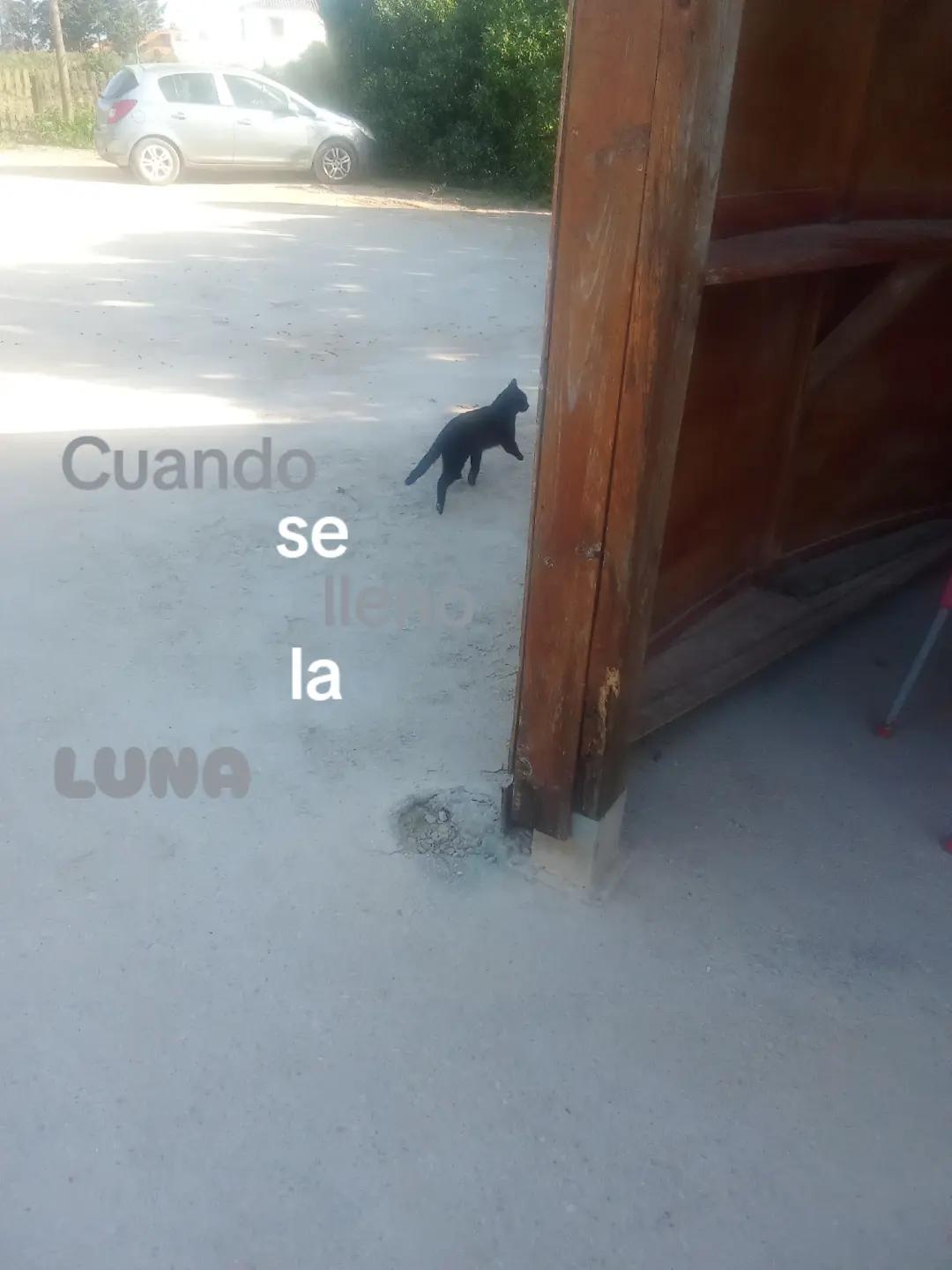 @𝓽𝓸𝓶𝓪𝓽𝓲𝓽𝓸
