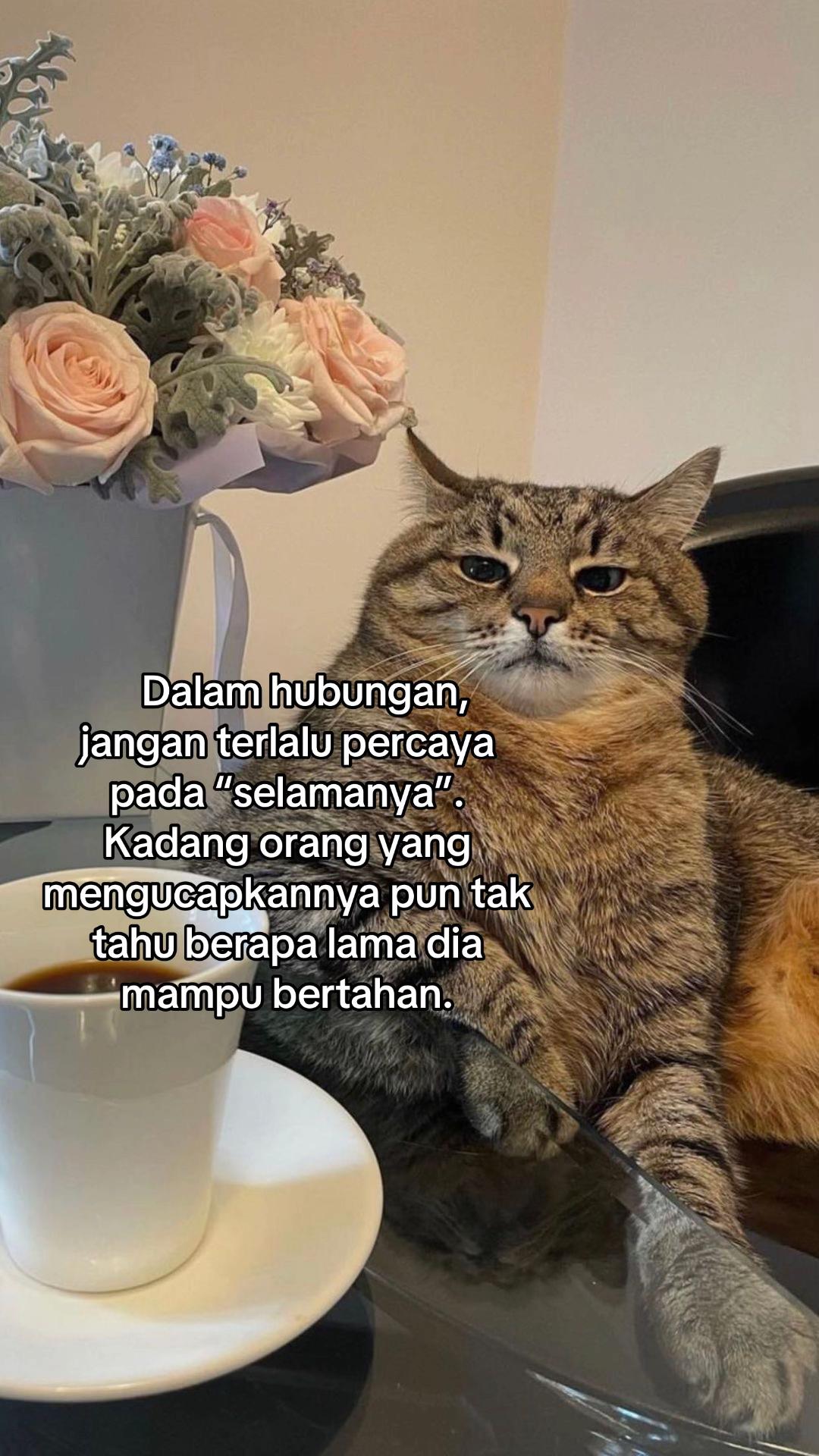@ngeong prot prot