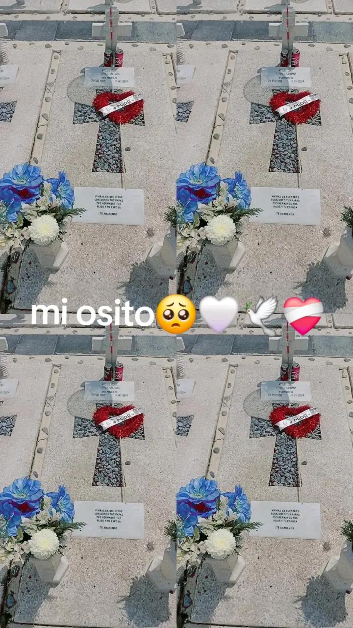 @erendiratristan