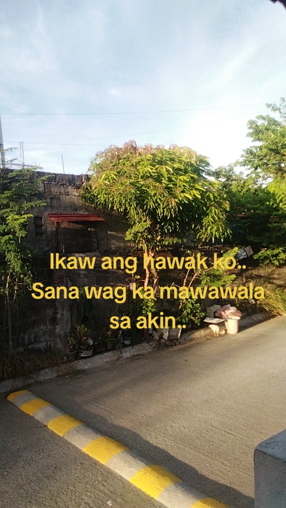 @Johnday