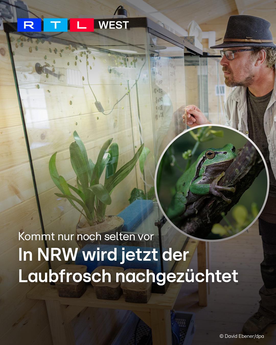 @RTLWest