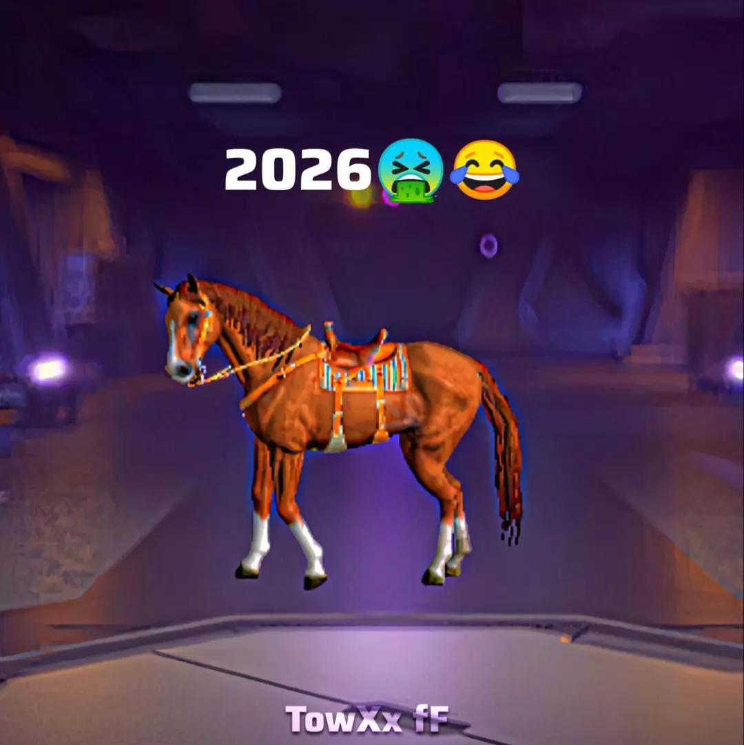 @𝙏𝙤𝙬𝙓𝙭 𝙛𝙁