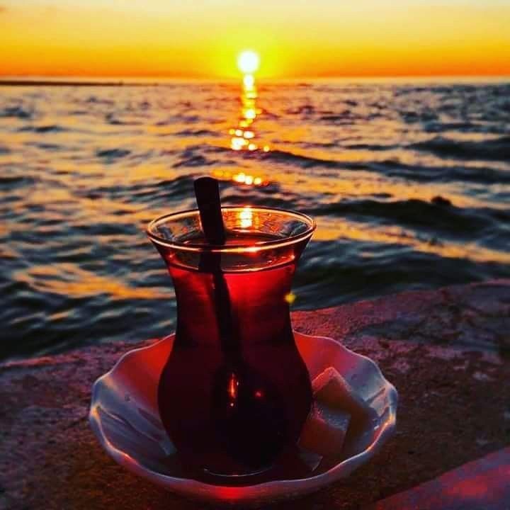 @Kır papatyası 🌼💮🌸🍀🌹