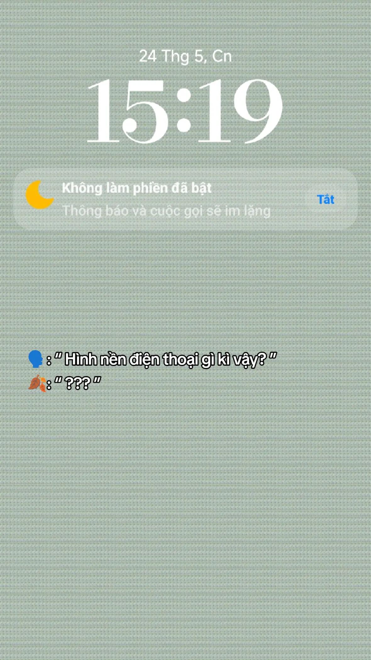 @Nhất Diệp Tố Niên 💎