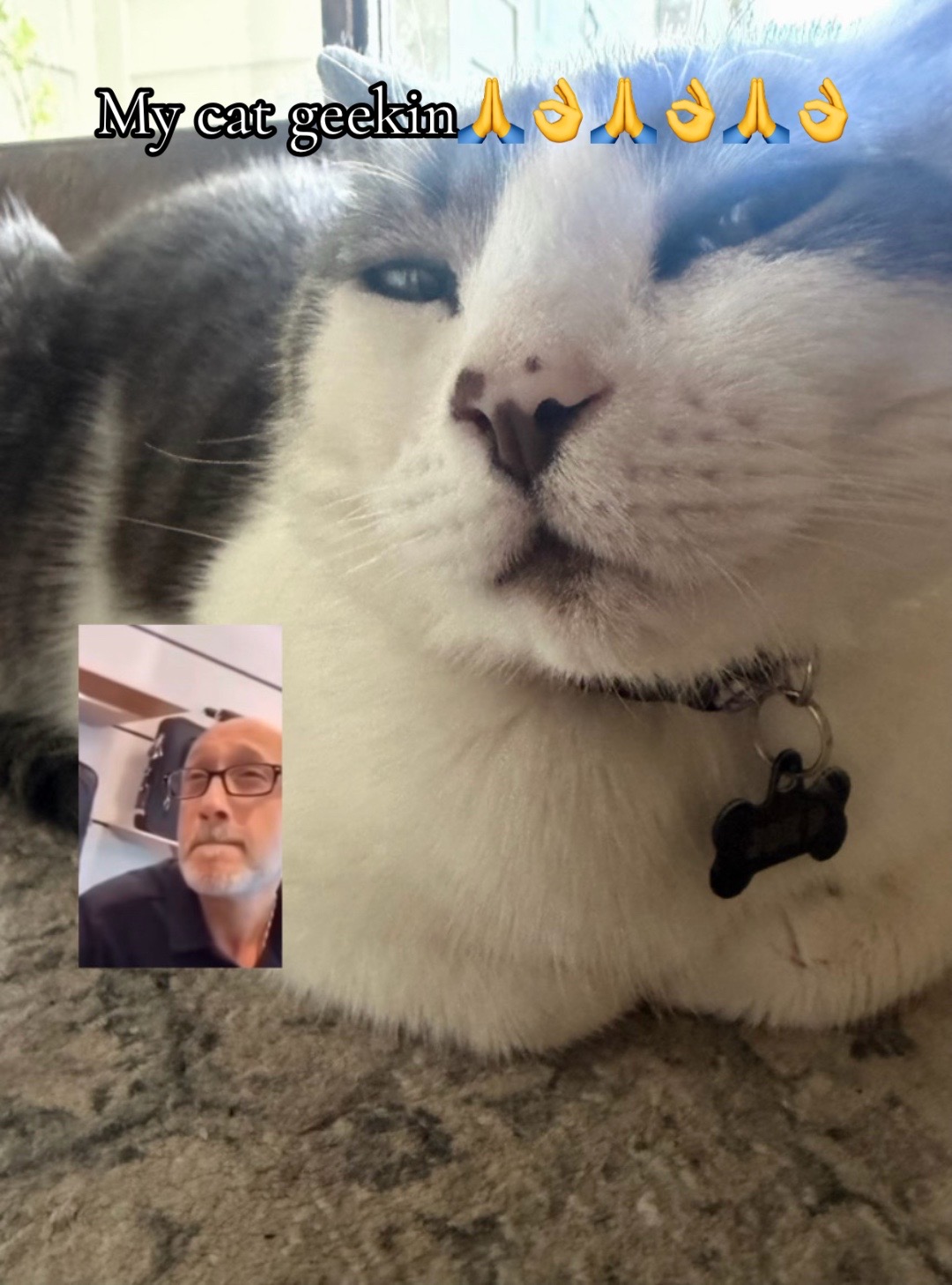 @paulinator