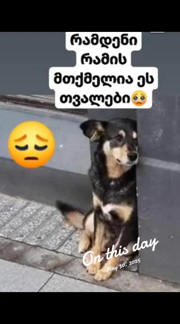 @სიყვარულისთვის🥰🫶💝
