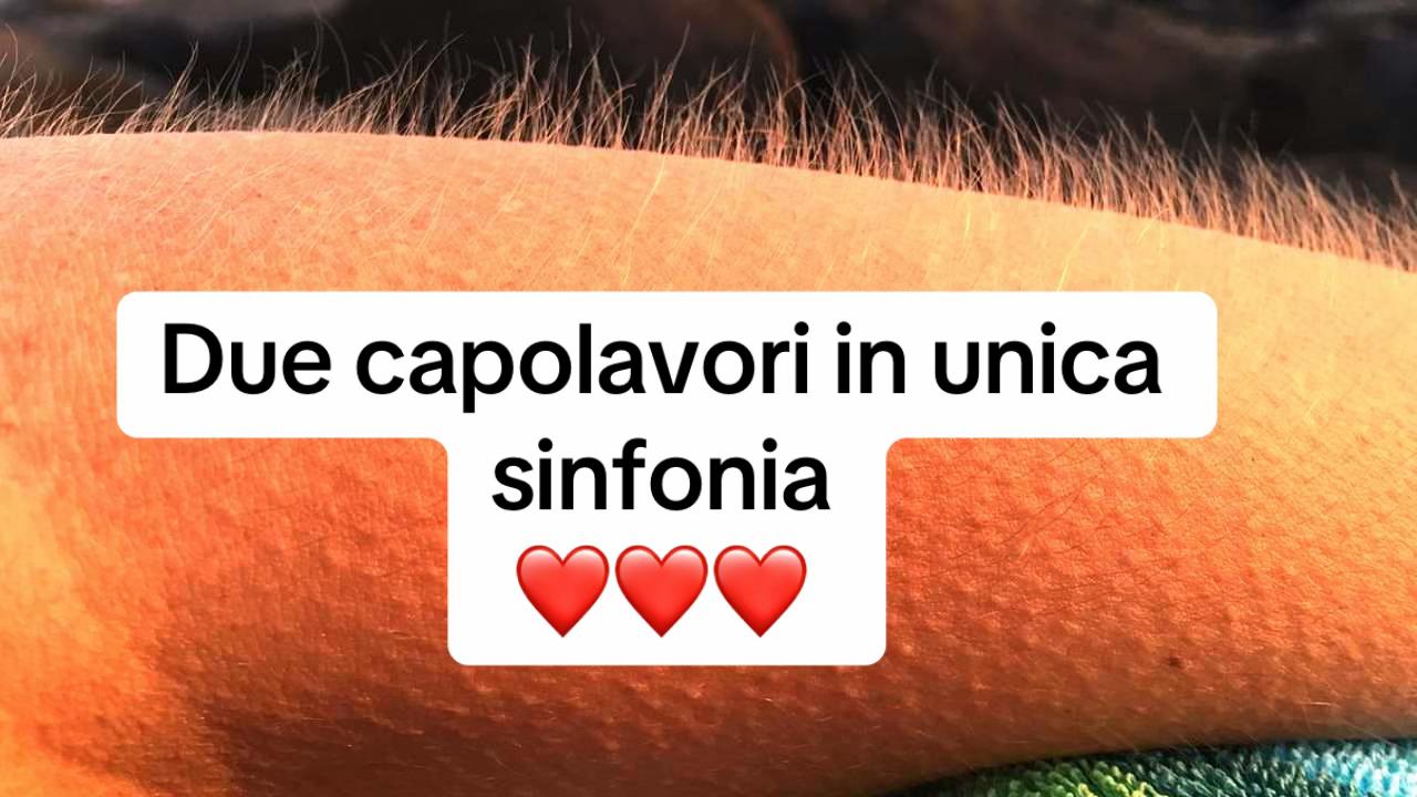 @AMER®️