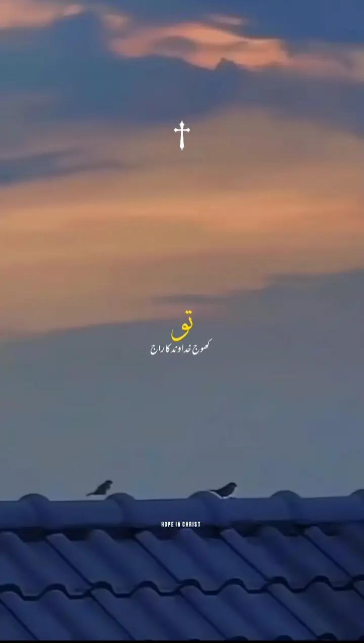 @چٹا صاحب 214✨🖤