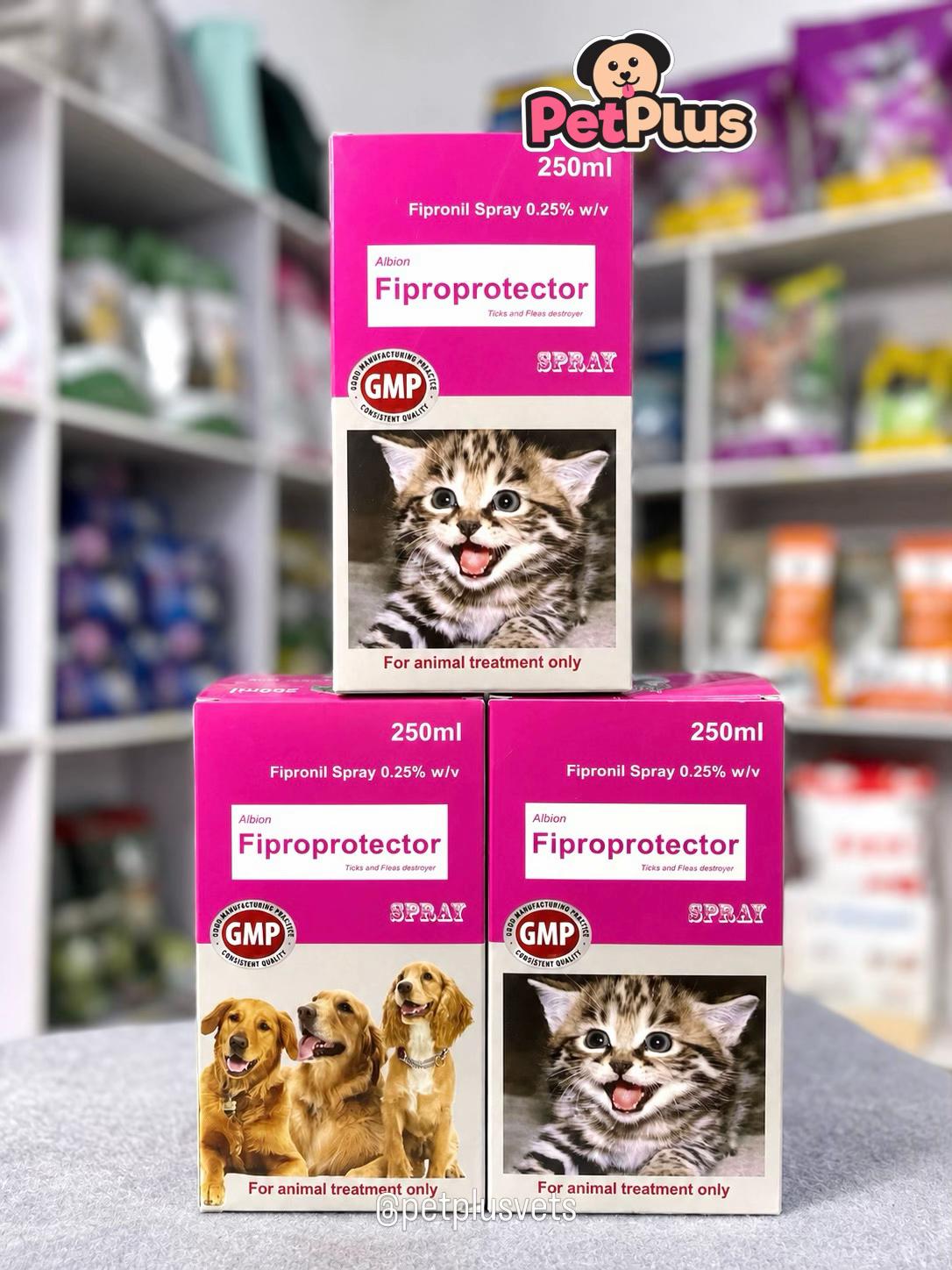 @PET STORE IN IBADAN| PETPLUS