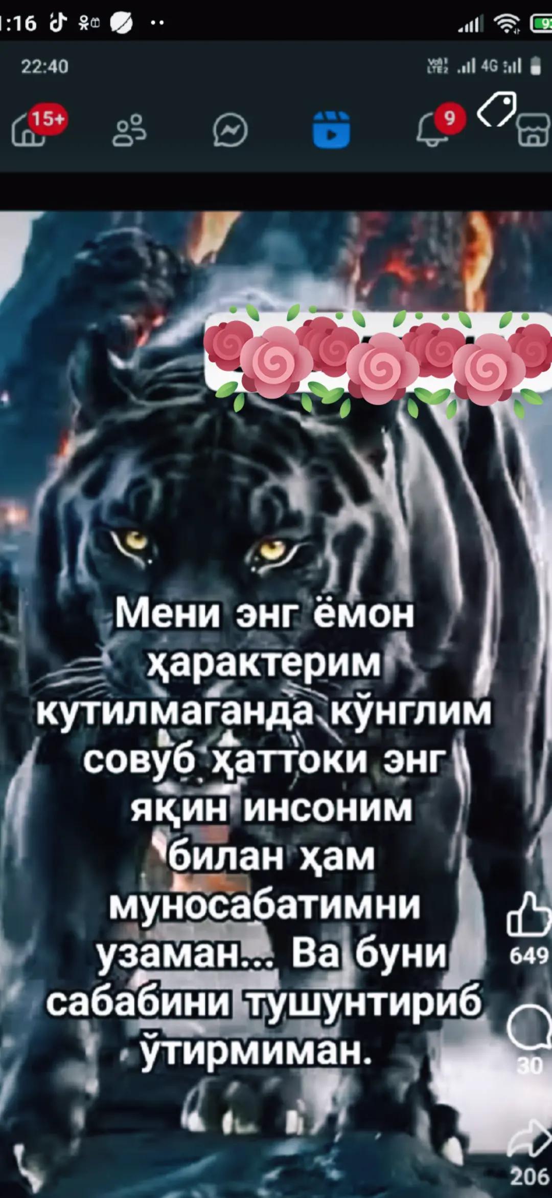 @ЗЕБО 24