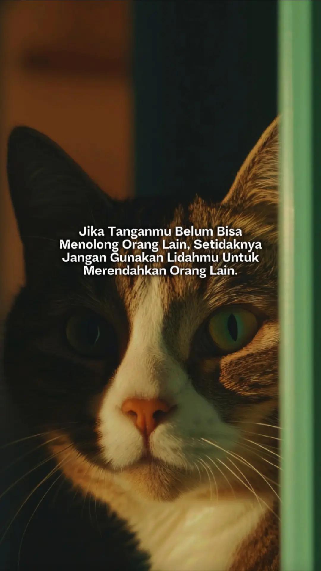 @ɪQʙᴀʟᴘʀᴀᴛᴀᴍᴀ✪