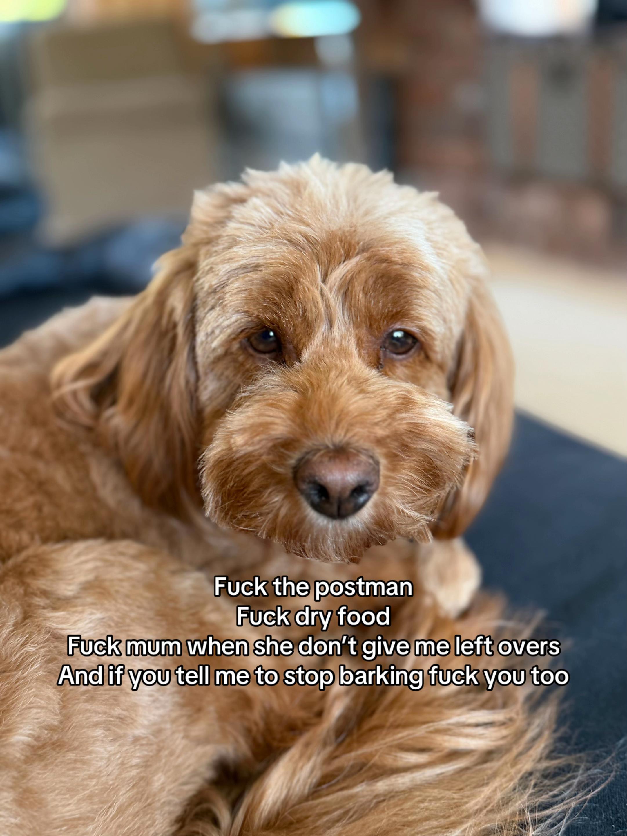 @yasmin fox