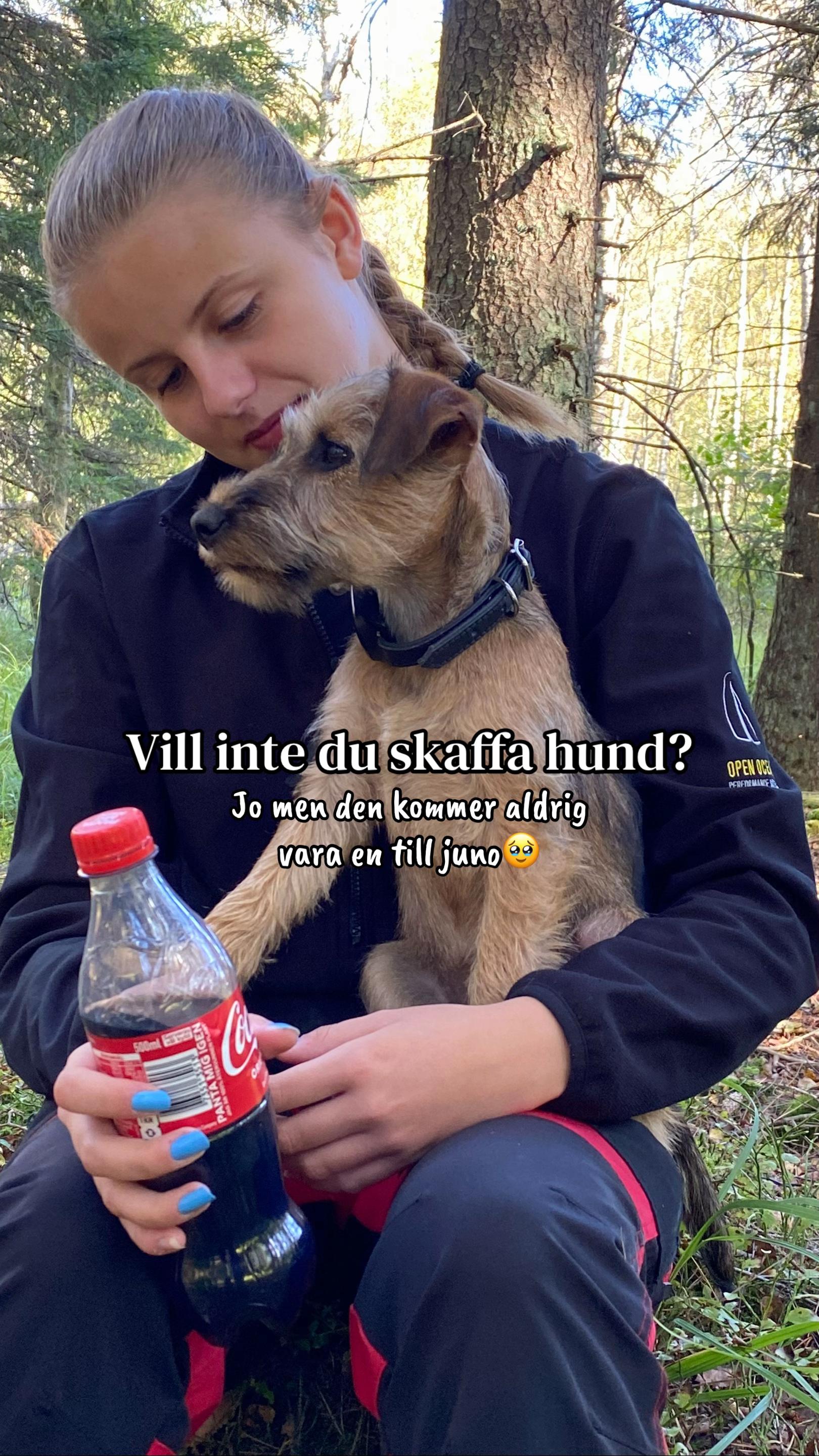 @Sophia Pettersson