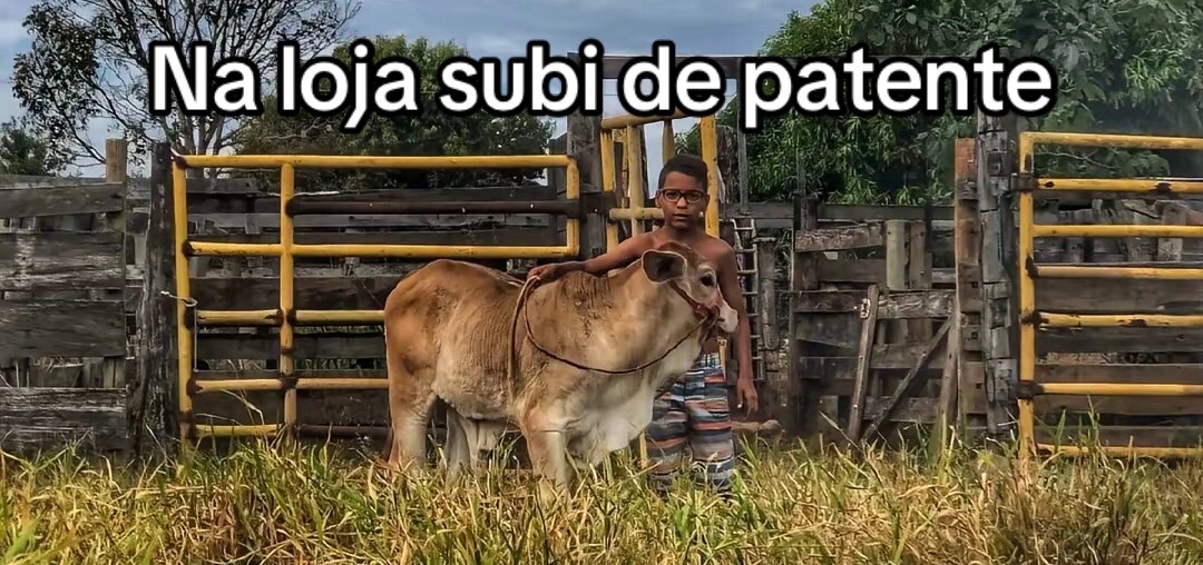 @andré🪶
