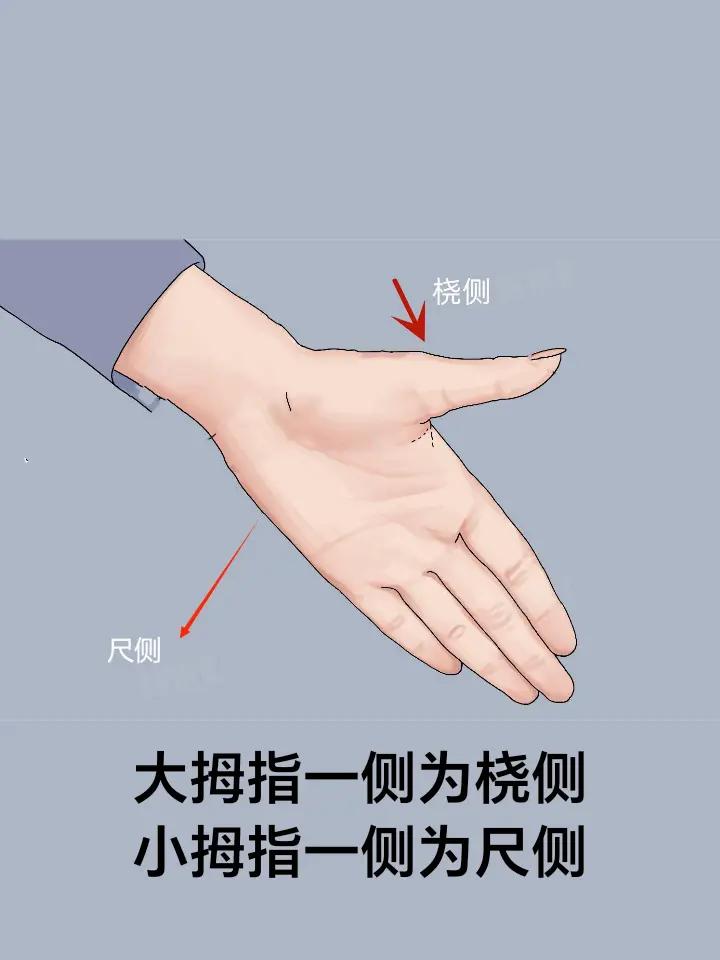 @穴位