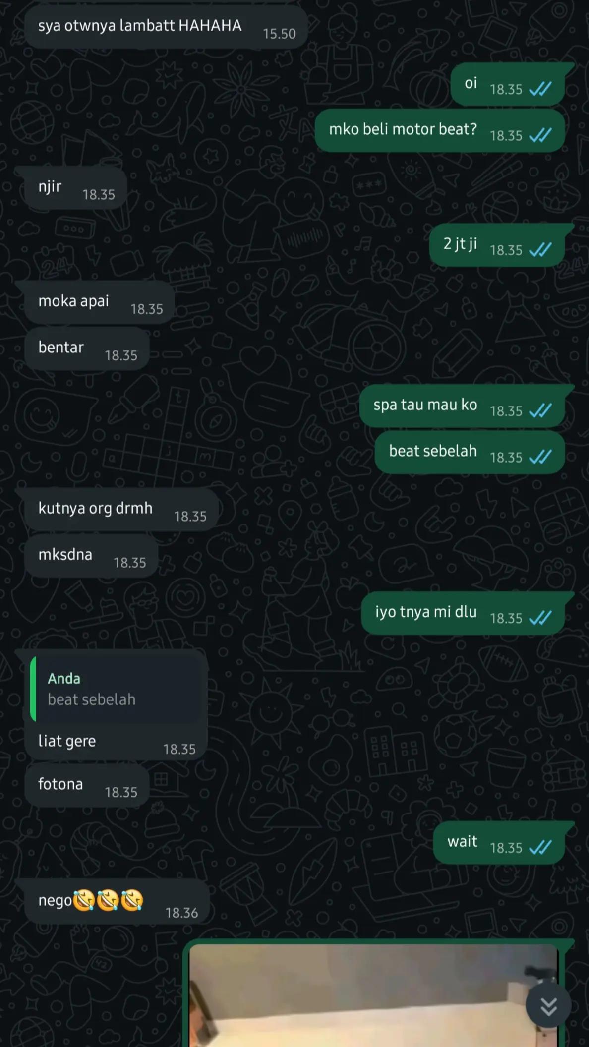 @146🍉