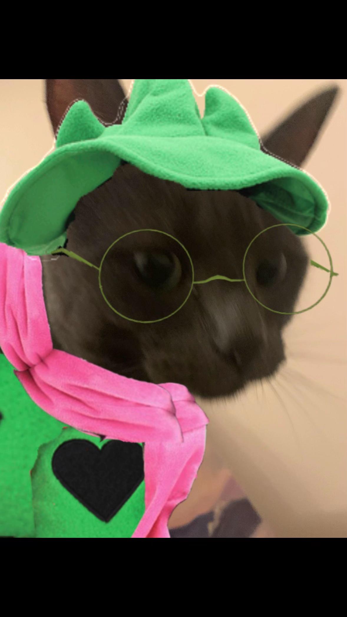 @RalseiLover23