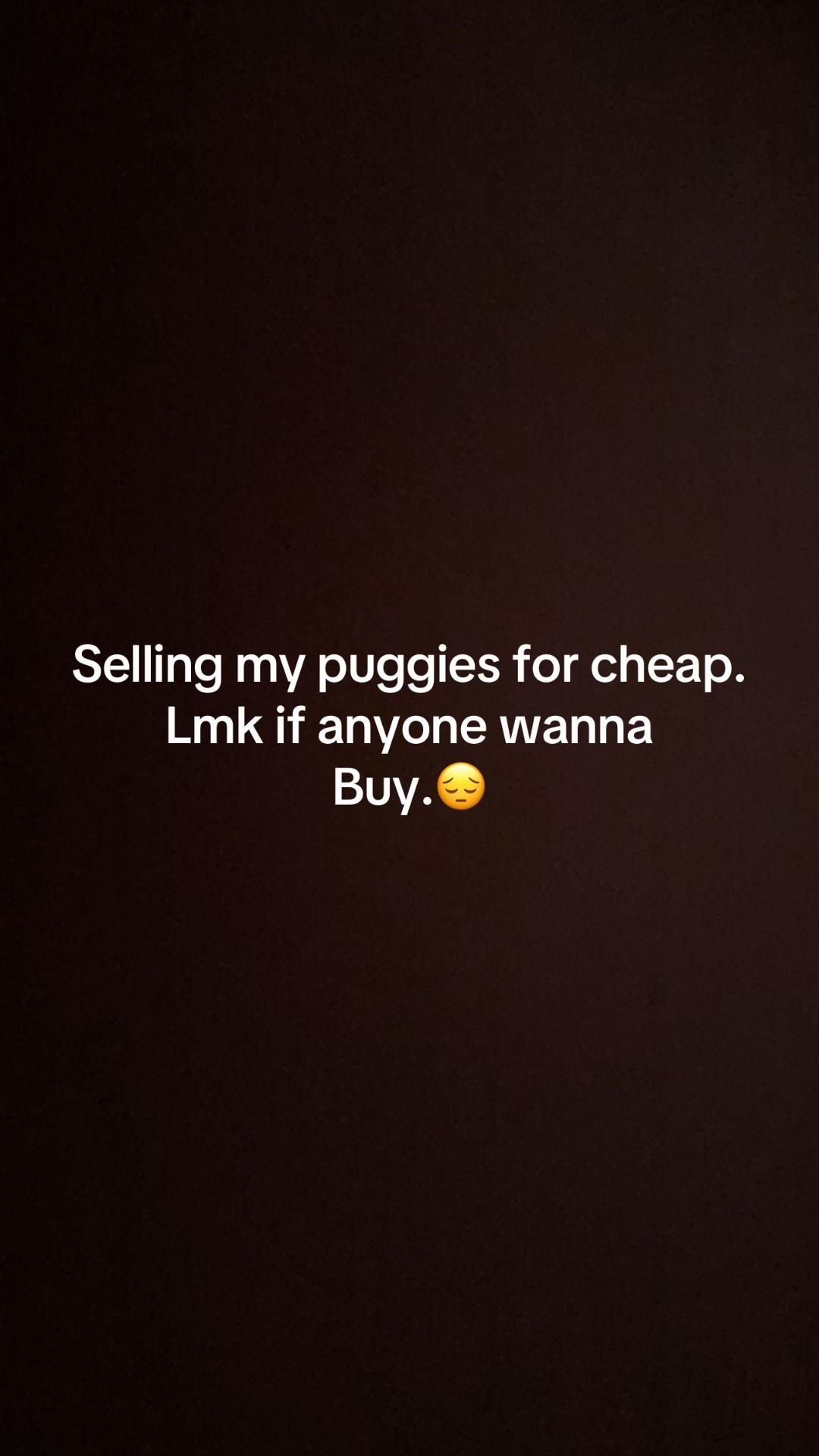 @SAB_TRADER_267