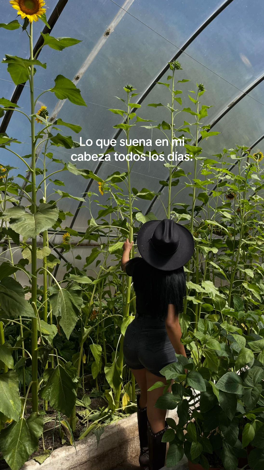@Lachicadelagro_👩🌾🌱