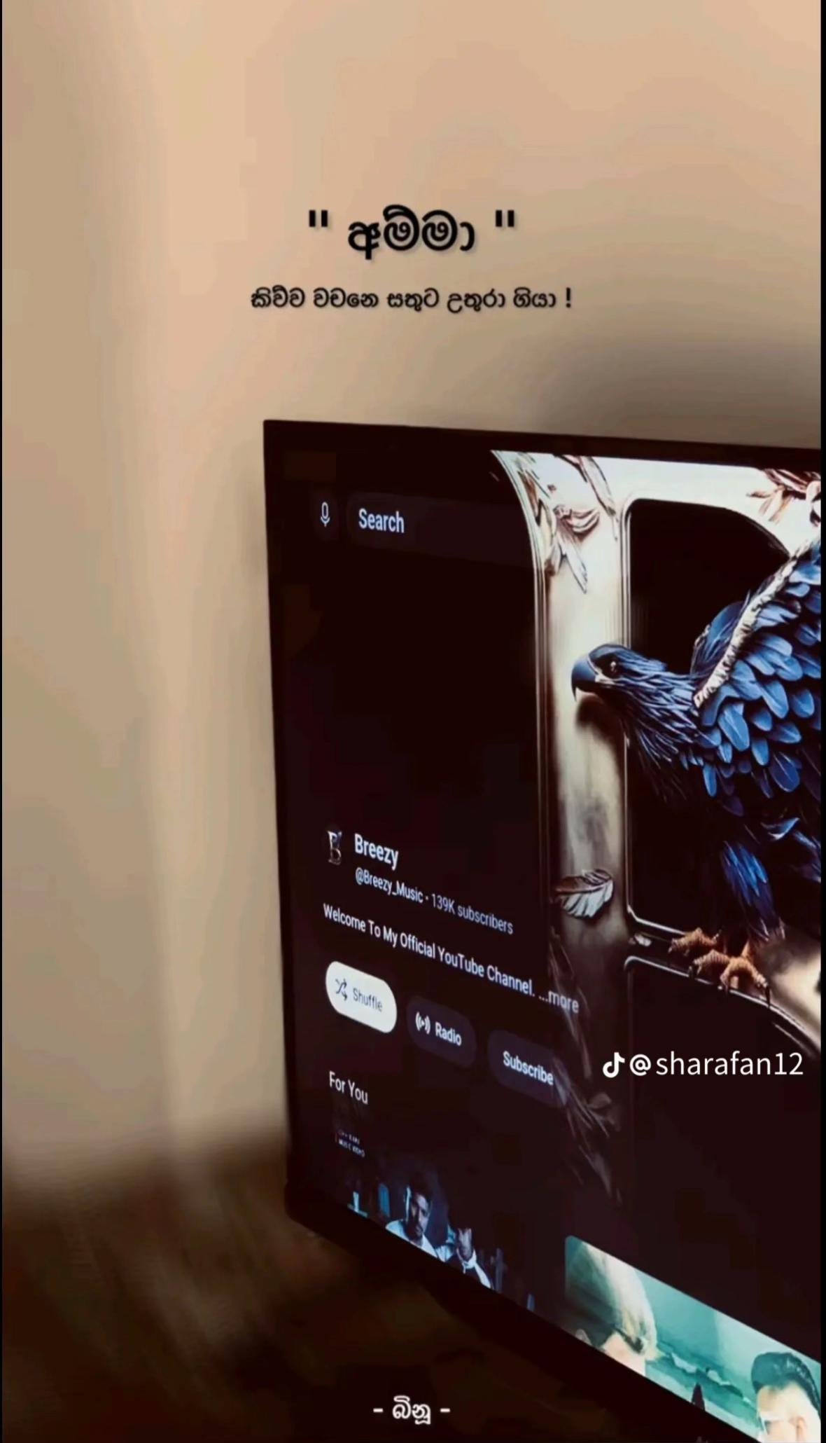 @ʙɪᴘᴜʟᴀ 31