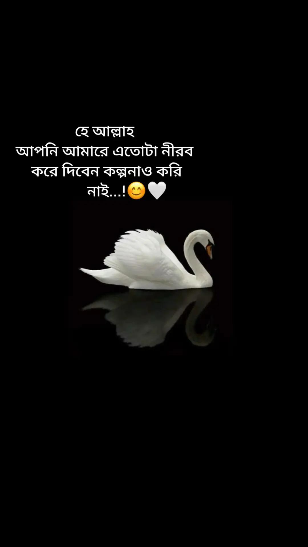 @Tamuuđ