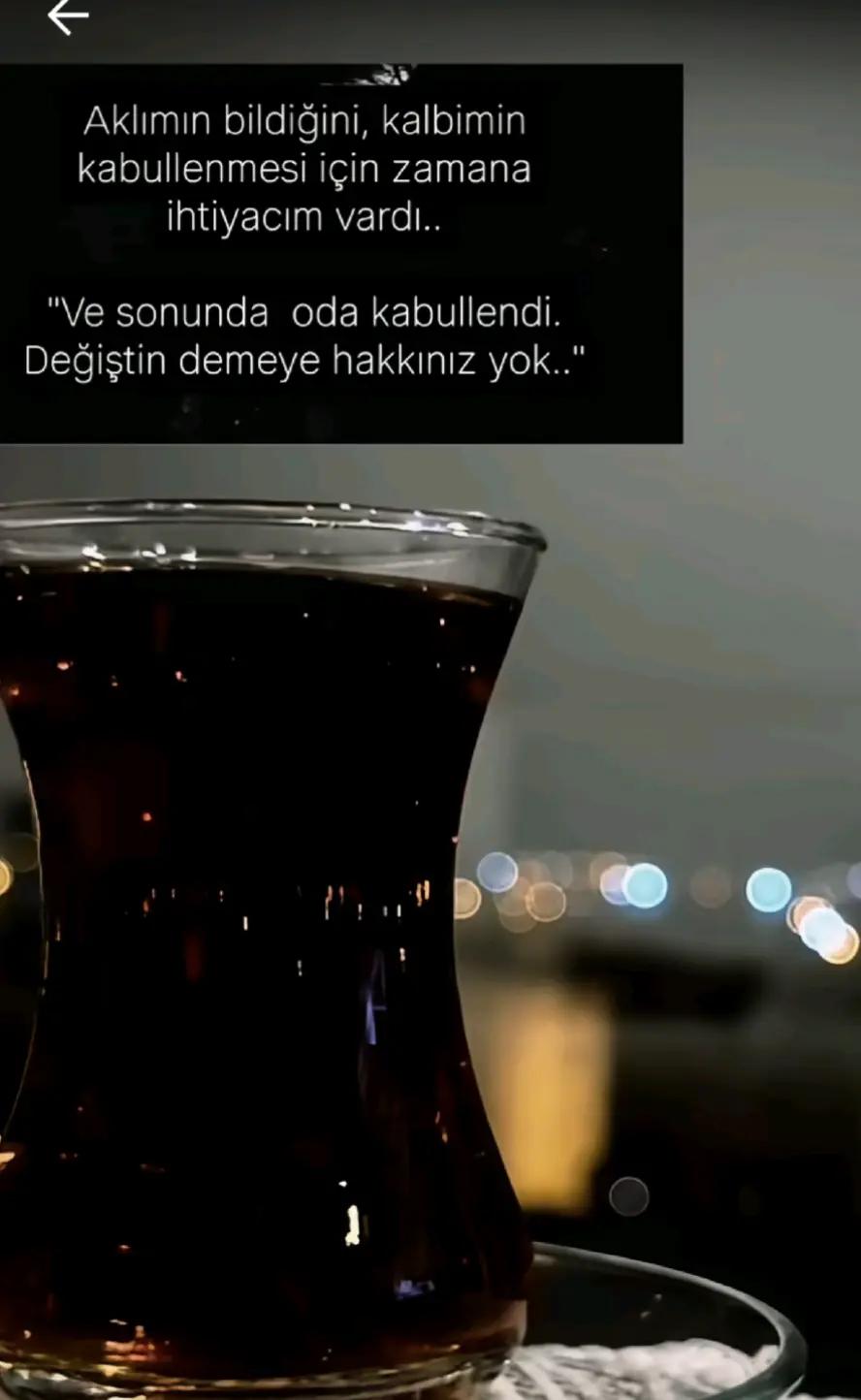@hayattan izler