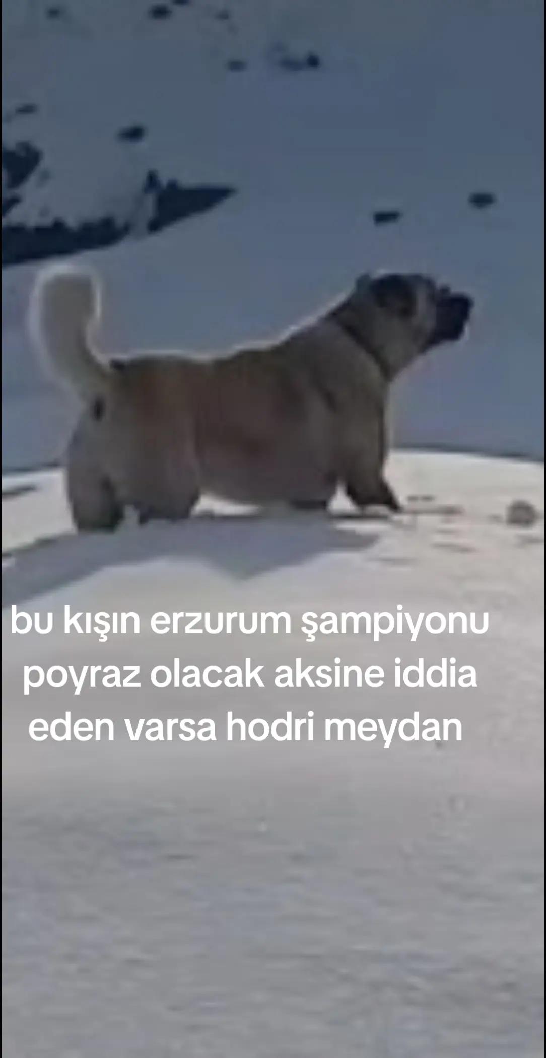 @erdogan 25