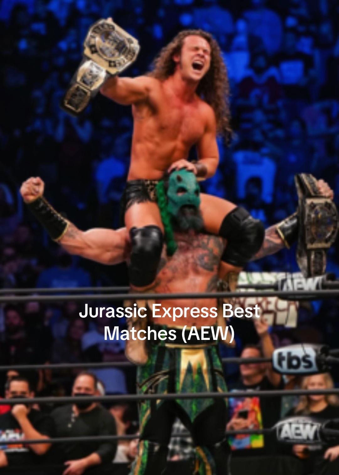 @La biblioteca del wrestling