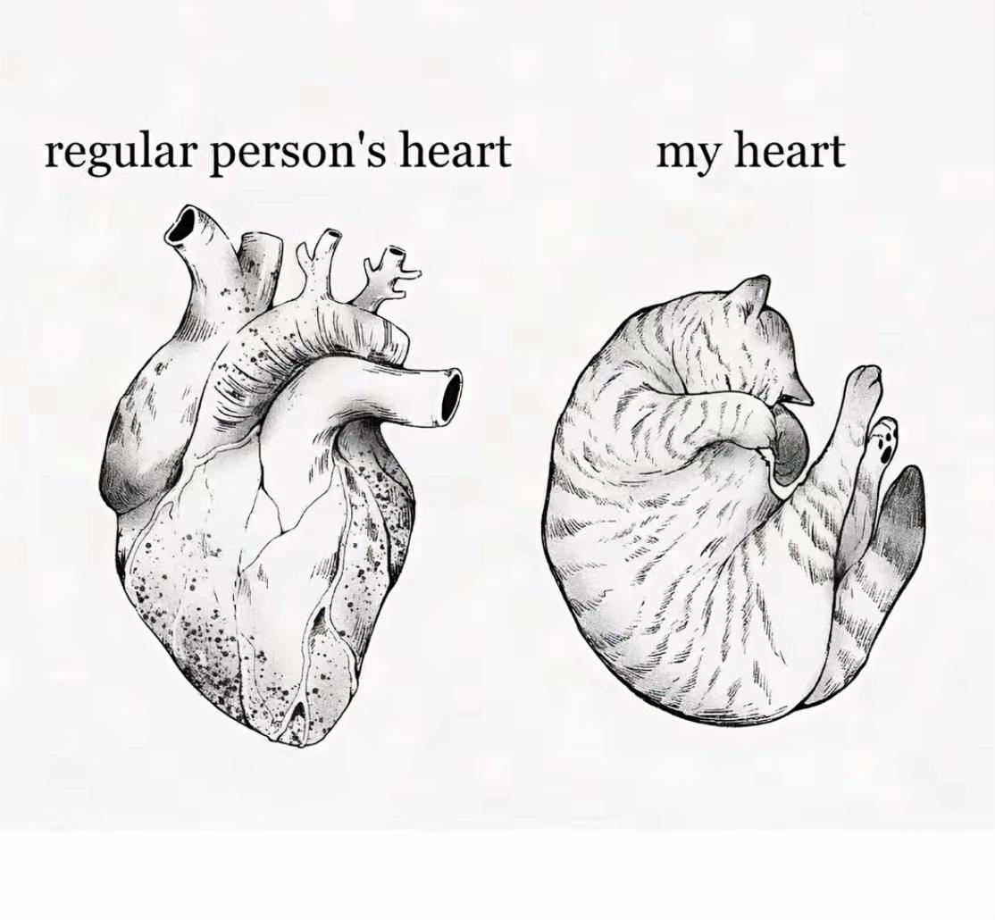 @•~ANGEL0~๐