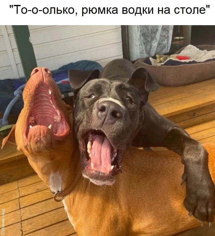 @Денис Манис !