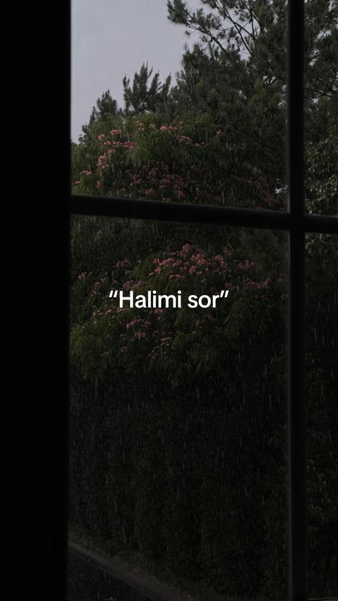 @Lyrics Felsefesi