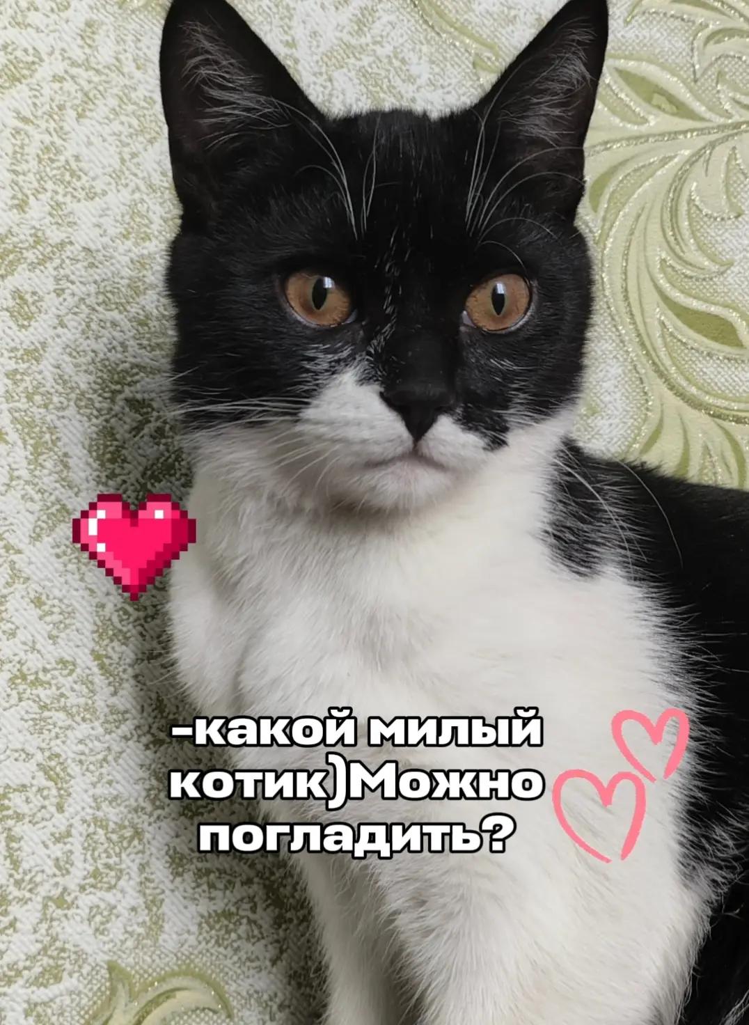 @богатый сыр🤔
