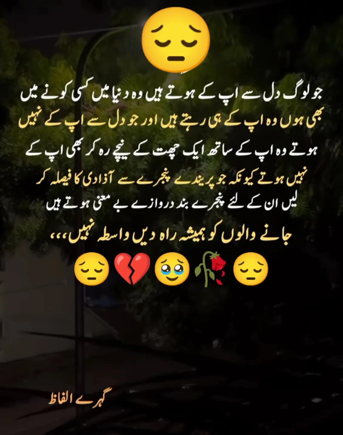 @Hassan Hussain💞