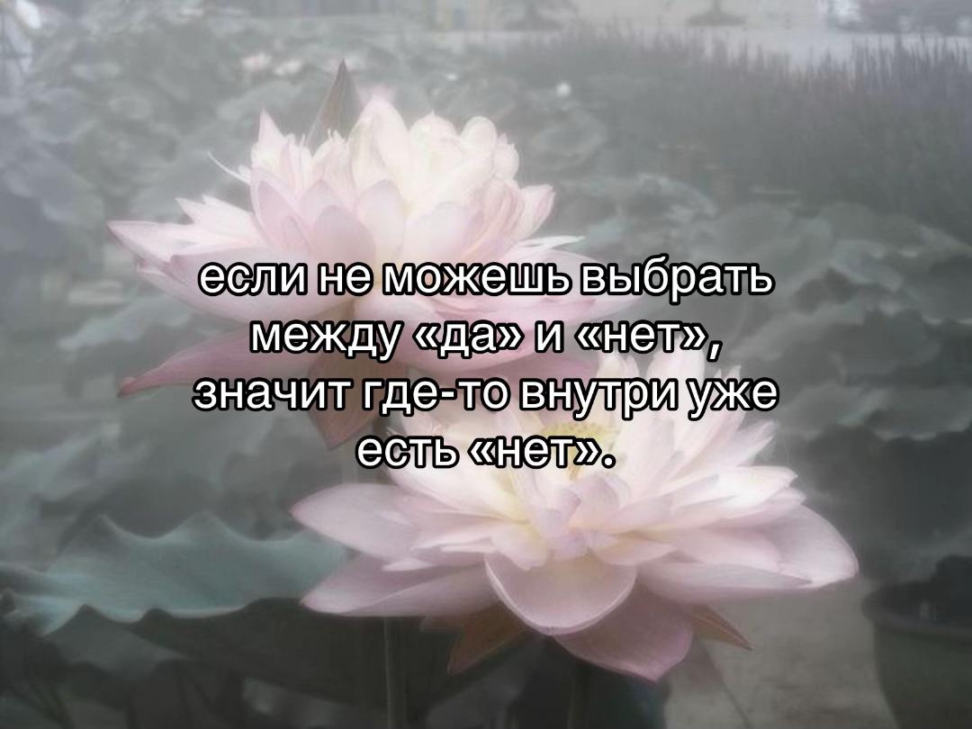 @нюша