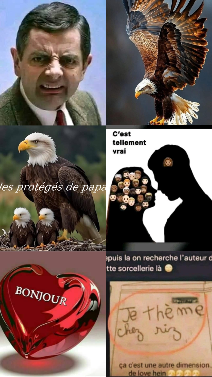 @xéno rancunier 🇬🇦
