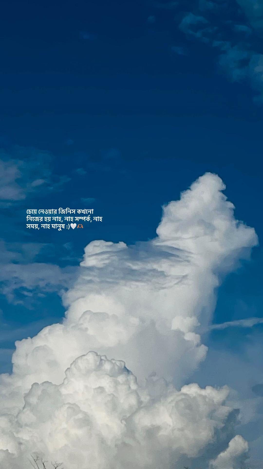 @বাক্য রচনা/ 📆