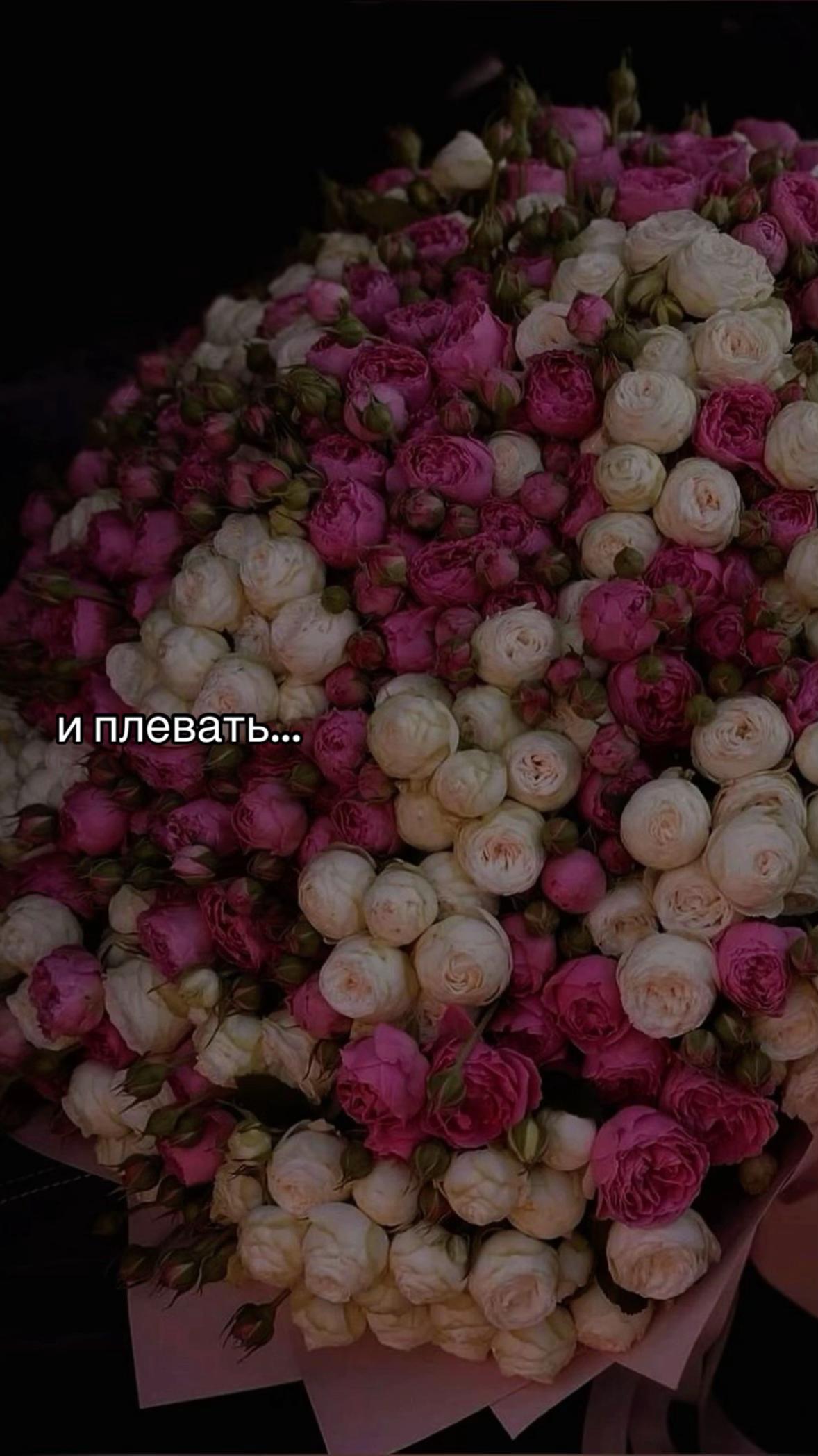 @кусочек счастья🤍
